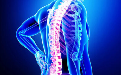 Discover the Best in Spinal Fractures and Trauma Treatment: Meet Dr. Richard Francis