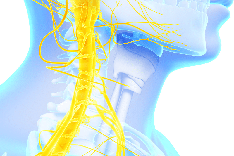 Pinched Nerve Specialist in Houston and Beaumont, TX Pinched Nerve Specialist in Houston and Beaumont, TX